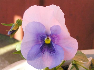 070418i.jpg
