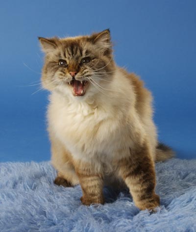 070512d.jpg