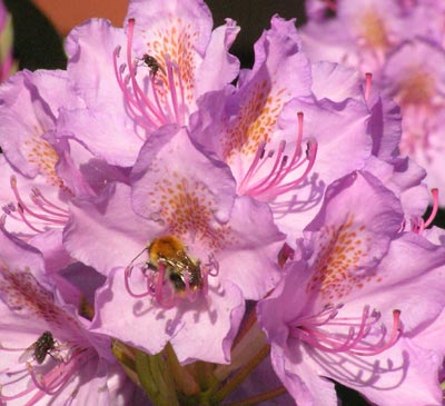070606a.jpg