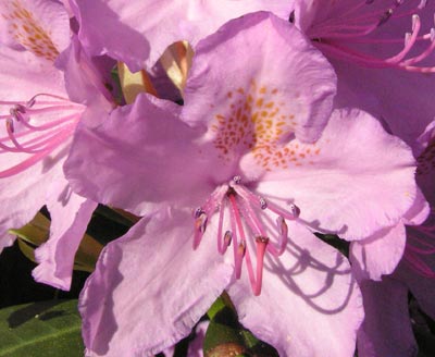 070606b.jpg