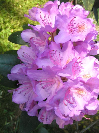 070606c.jpg