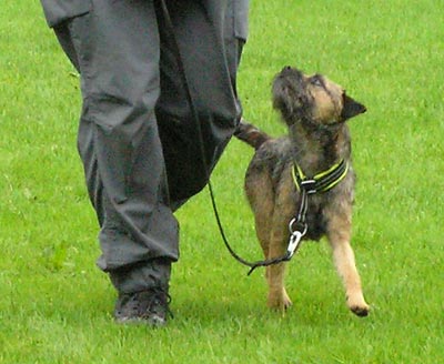 070729d.jpg