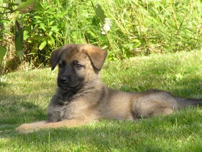 070807h.jpg