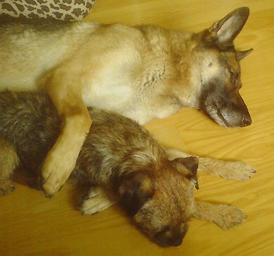 070822a.jpg