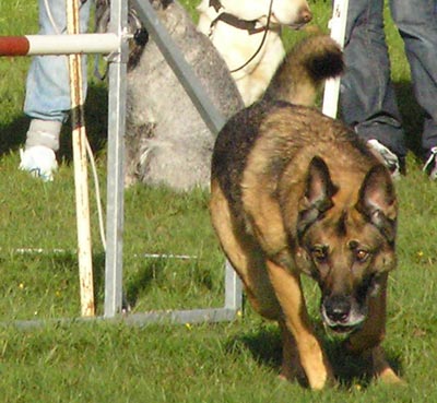 070902a.jpg