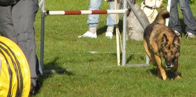 070902b.jpg