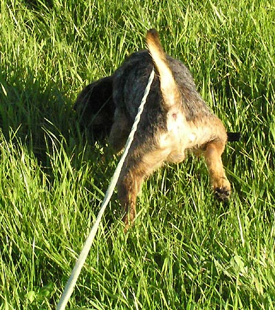 070906a.jpg