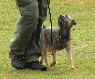070930b.jpg