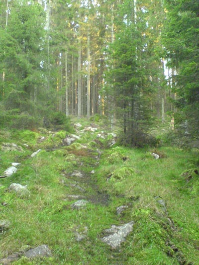 071026a.jpg
