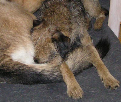 071109d.jpg