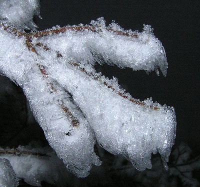 071221b.jpg
