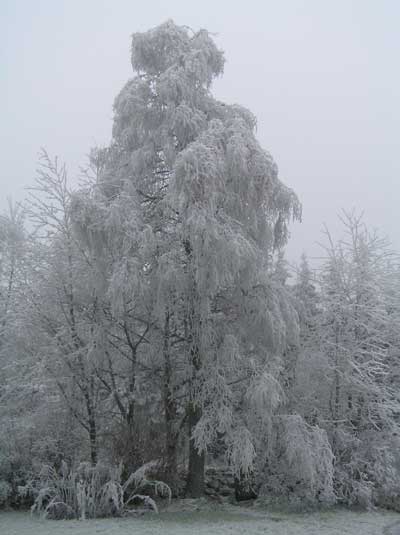 071222a.jpg