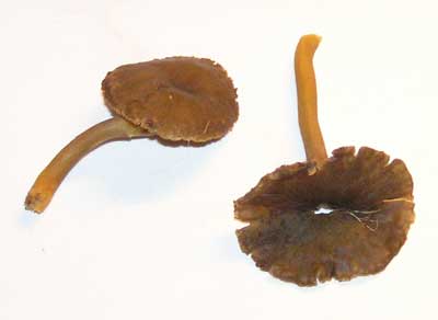 071229a.jpg