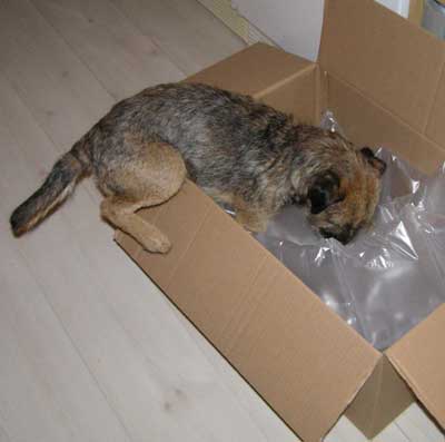 080108e.jpg