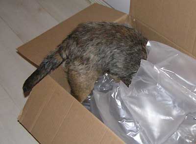 080108f.jpg