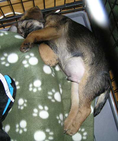 080112h.jpg