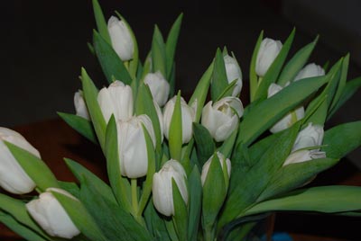 080119a.jpg