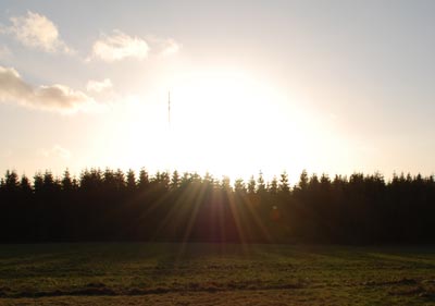 080119c.jpg