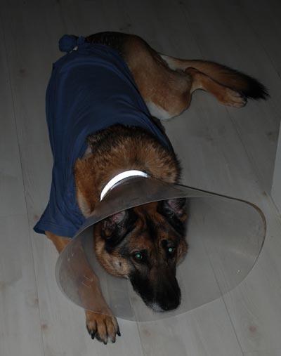 080120a.jpg