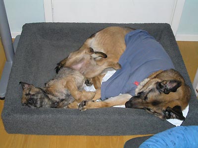 080121b.jpg