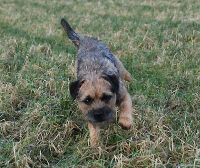 080122f.jpg