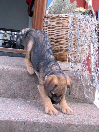 080127f.jpg