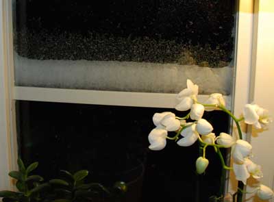 080131b.jpg
