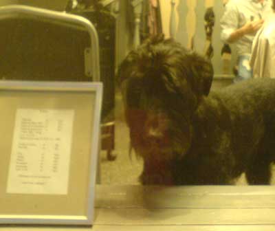 080212a.jpg
