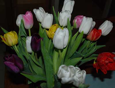 080224b.jpg