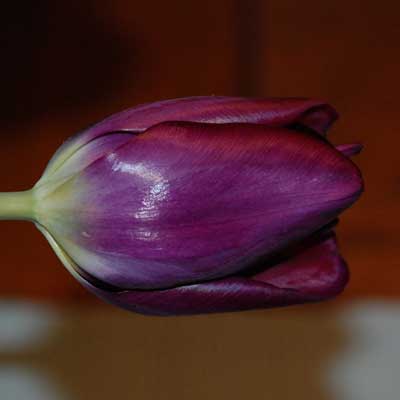080225b.jpg