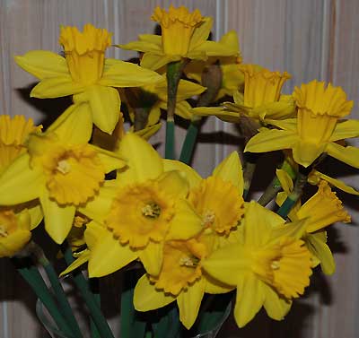 080309a.jpg