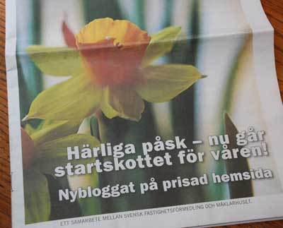 080321a.jpg