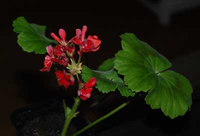 080402a.jpg