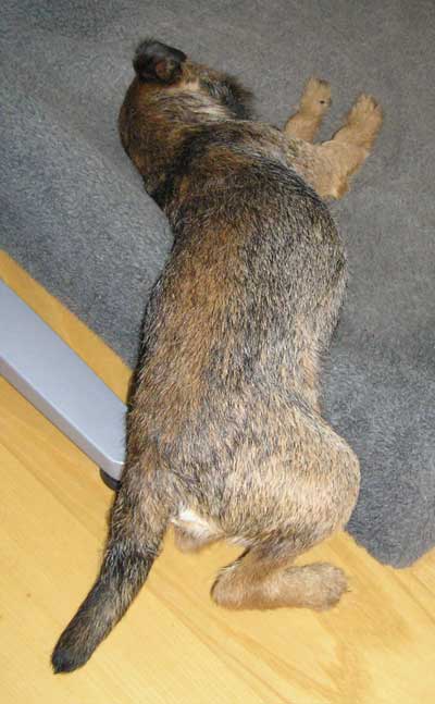 080403a.jpg