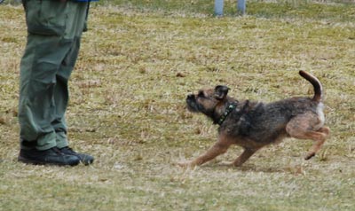 Ingången på inkallningen
