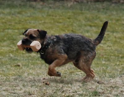 Apporteringen såg ganska bra ut i början.