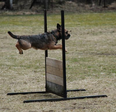 10 poäng för hoppet.