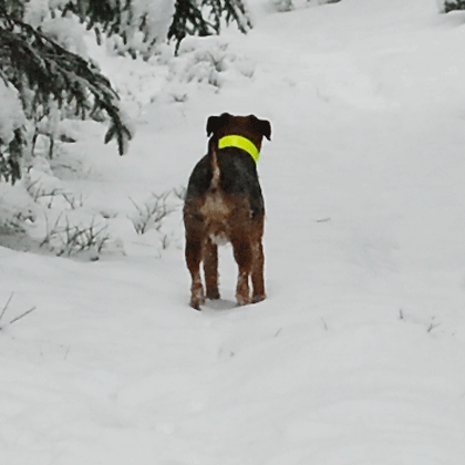 081213_vift 081213_vift
