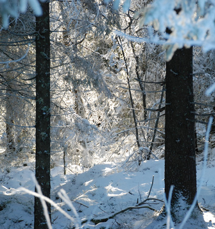 090214a 090214a
