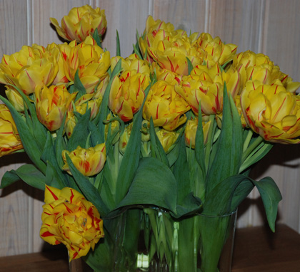 090315b