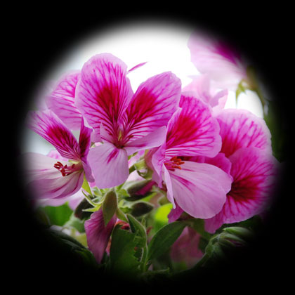 090320a