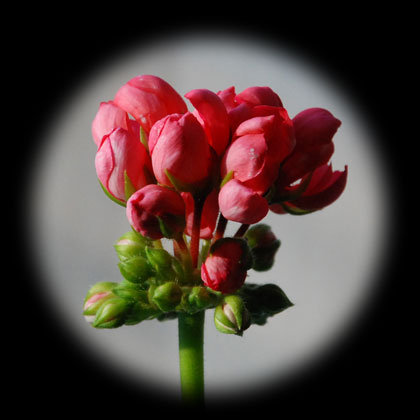 090320b