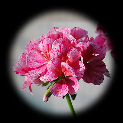090320e