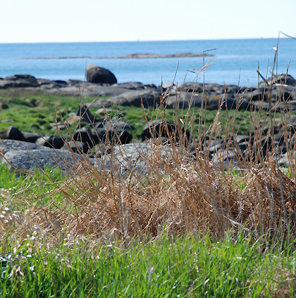 090503e 090503e