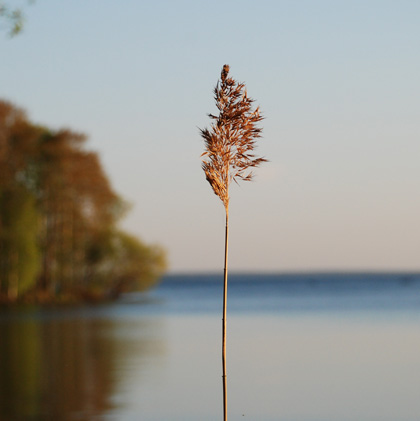 090517C 090517C