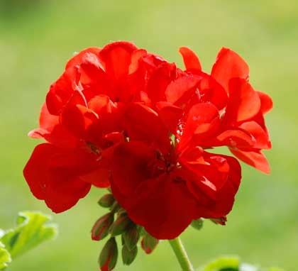 090527F