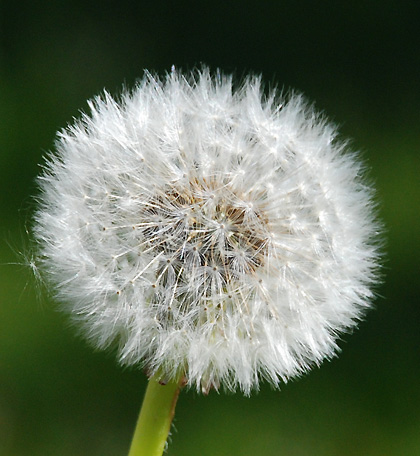 090530D 090530D