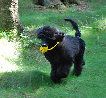 090802F