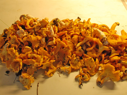 090806A
