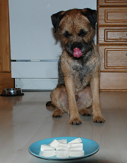 091204B